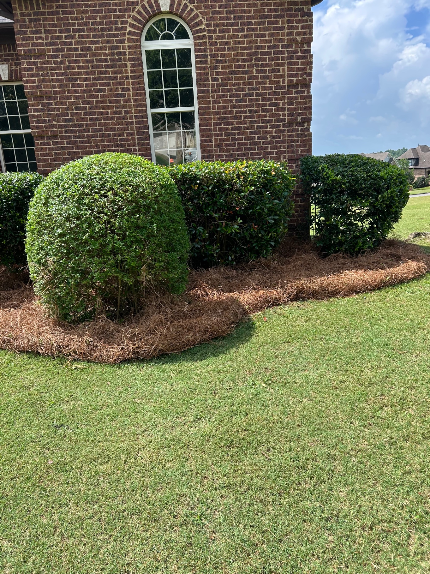 Manicured shrubs and clean pine straw edges